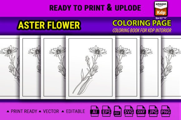 Aster Flower Coloring Pages for KDP