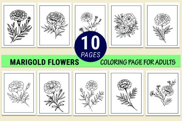 Marigold Flower Coloring Pages for Adults