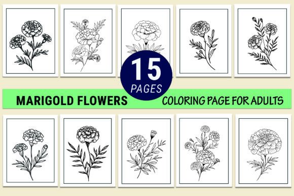 Marigold Flower Coloring Pages for Adults