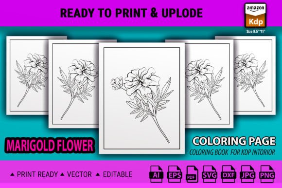 Marigold Flower Coloring Sheet for Print